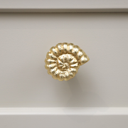 Gold Fossil Drawer Knob