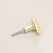 Gold Fossil Drawer Knob