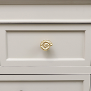 Gold Fossil Drawer Knob