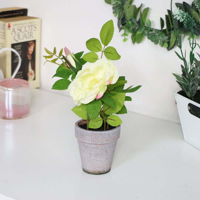 Faux Cream Rose in Pot Faux Cream Rose in Pot
