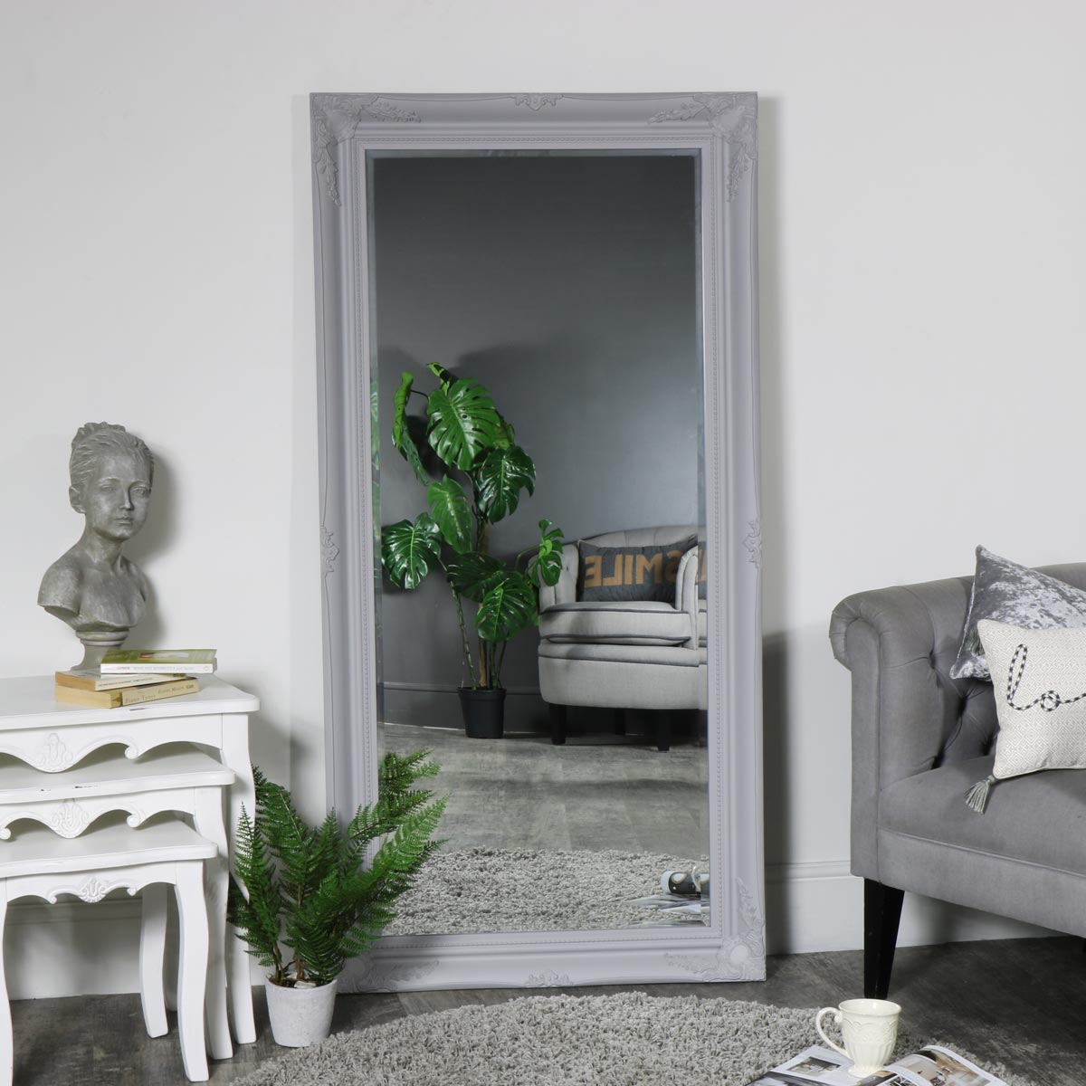 Large Ornate Grey Mirror 158cm x 79cm 