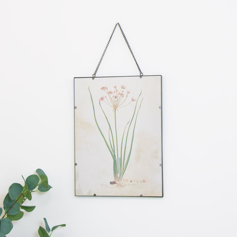 Botanical Framed Floral Print Botanical Framed Floral Print