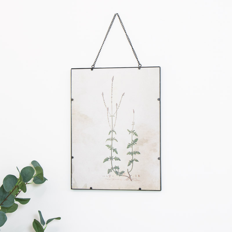 Vintage Botanical Wall Picture Vintage Botanical Wall Picture