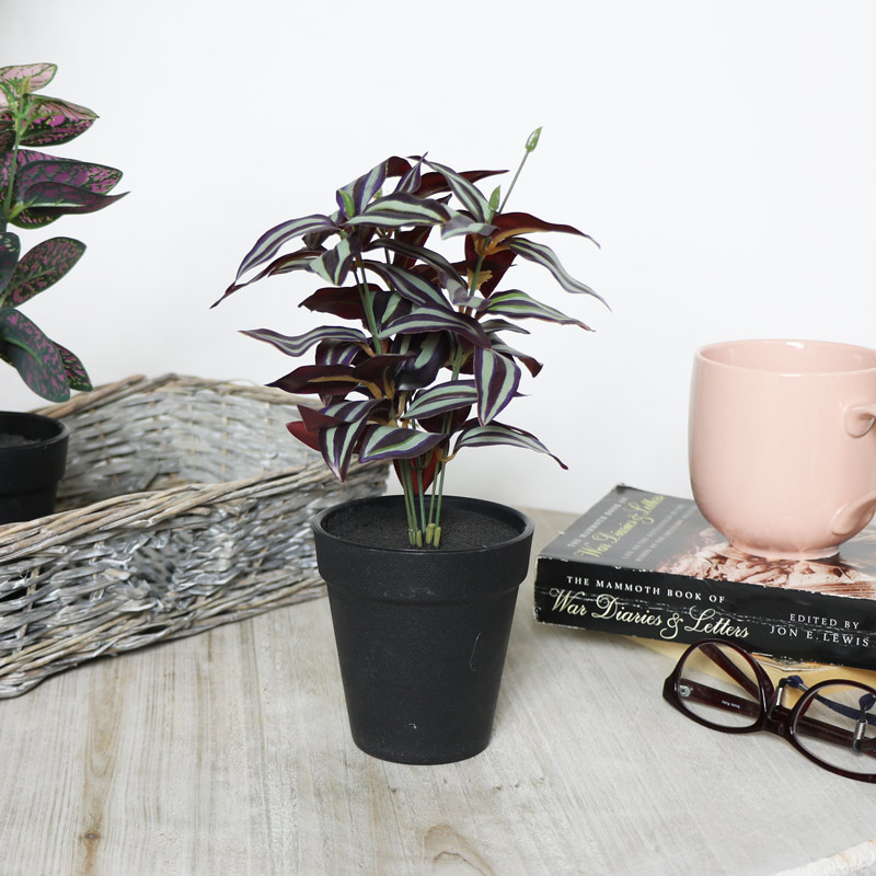 Faux Tradescantia Plant Faux Tradescantia Plant