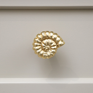 Gold Fossil Drawer Knob