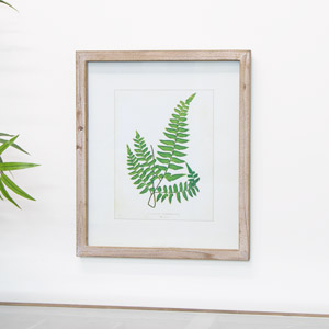 Framed Fern Wall Picture 
